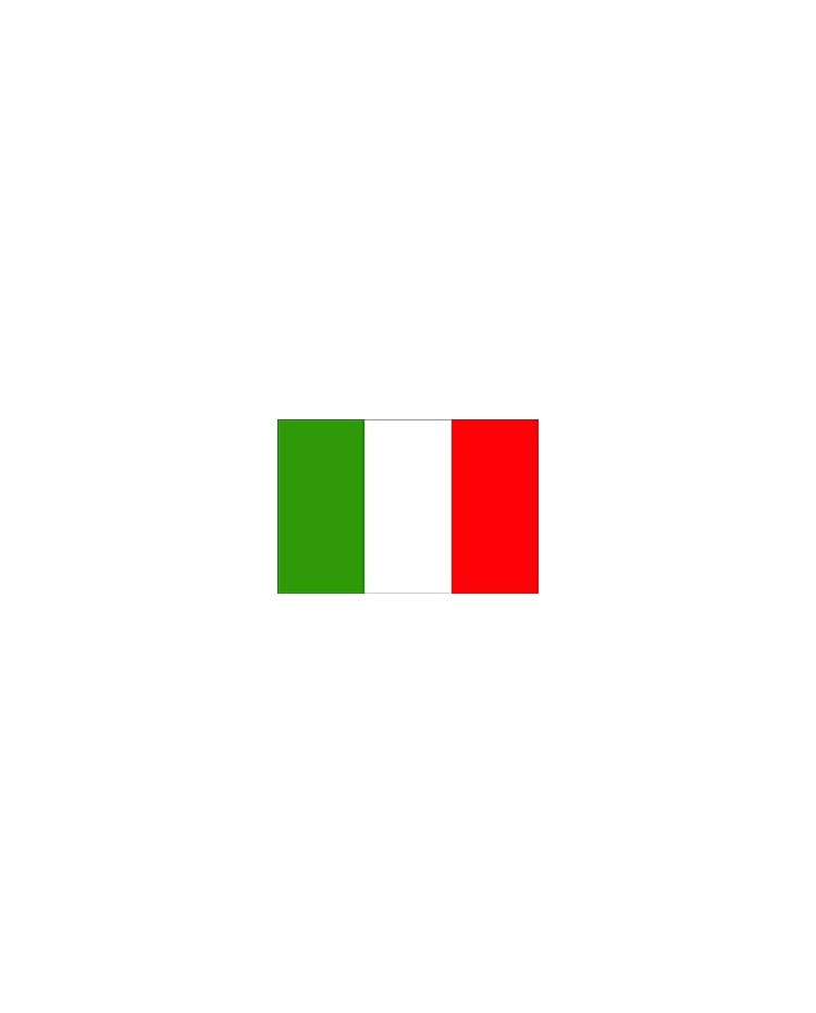 Bandierina Da Tavolo Italia 4x6 Pollici – Super Poliestere Premium 100D Con Bastone