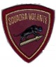 SCUDETTO POLIZIA VOLANTE