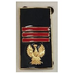 Gradi Metallo POLIZIA DI STATO smaltati