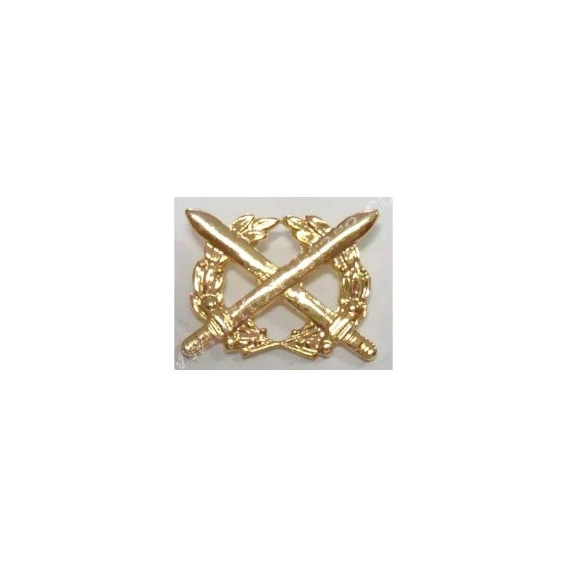Encomio militare