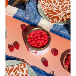 CANDLECAN IN LATTINA