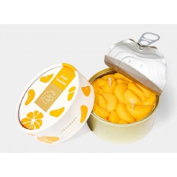 CANDLECAN IN LATTINA