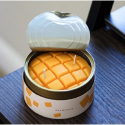 CANDLECAN IN LATTINA