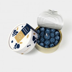 CANDLECAN IN LATTINA