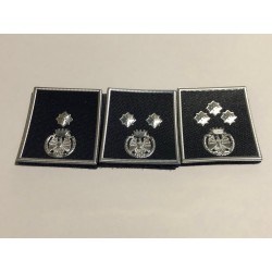 Gradi polo Polizia Penitenziaria