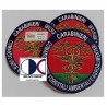 Patch Carabinieri Forestale grande ricamato