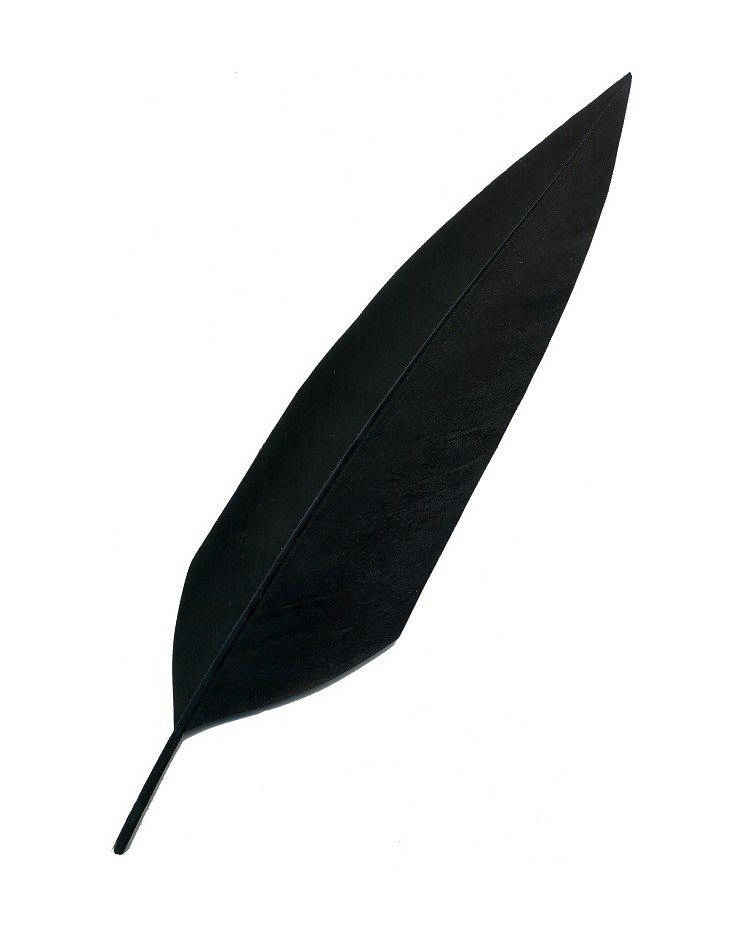 Penna nera per cappello alpino