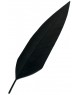 Penna nera per cappello alpino