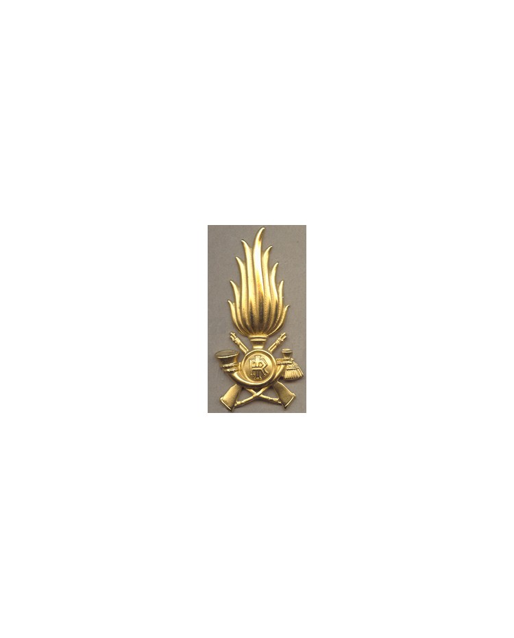 Fregio metallo Guardia di Finanza